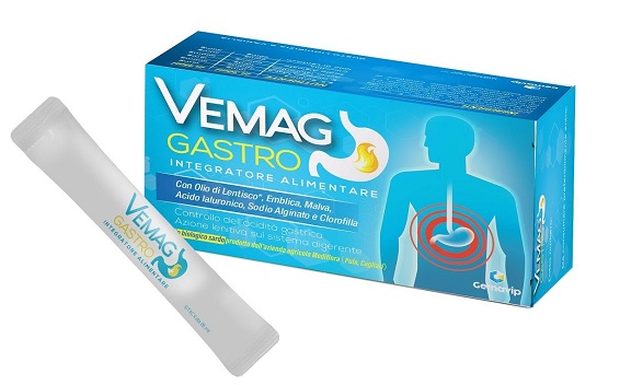 VEMAG GASTRO 20 STICK - goldeneffe.it