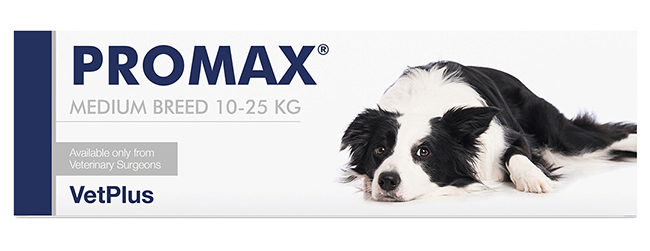 PROMAX MEDIUM BREED 18 ML - goldeneffe.it