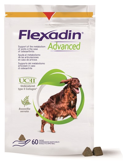 FLEXADIN ADVANCED CANE TUTTE LE TAGLIE 60 TAVOLETTE APPETIBILI - goldeneffe.it