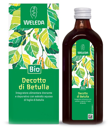 DECOTTO DI BETULLA 250 ML - goldeneffe.it