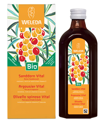 OLIVELLO SPINOSO VITAL SUCCO DI FRUTTA 250 ML - goldeneffe.it