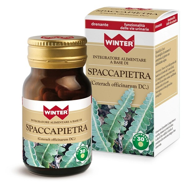 WINTER SPACCAPIETRA 30 COMPRESSE - goldeneffe.it