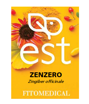 ZENZERO ESTRATTO SECCO 60 TAVOLETTE - goldeneffe.it