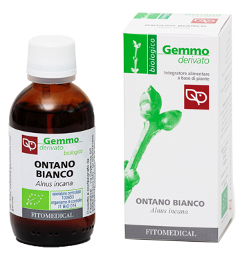 ONTANO BIANCO MACERATO GLICERICO 50 ML BIO - goldeneffe.it