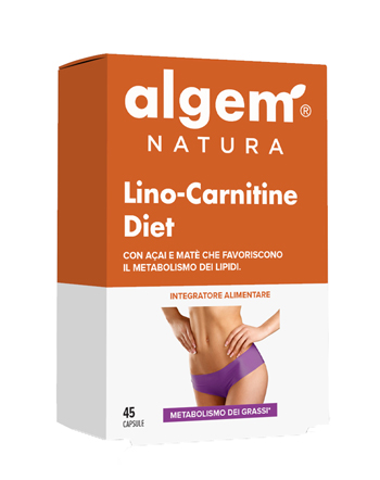 LINO CARNITINE DIET 45 CAPSULE - goldeneffe.it