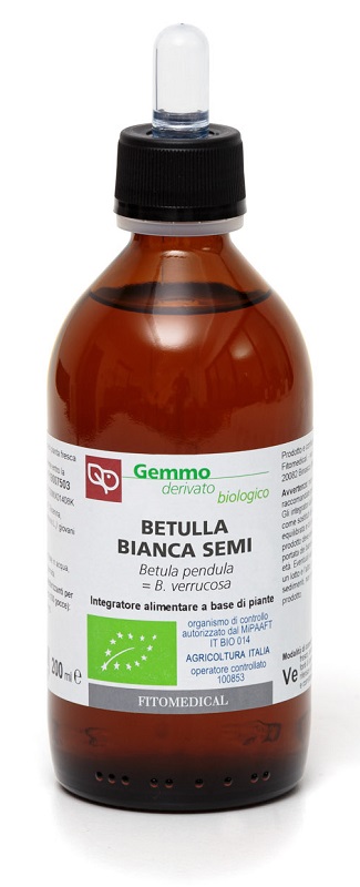 BETULLA BIANCA SEMI MACERATO GLICERICO 200 ML BIO - goldeneffe.it