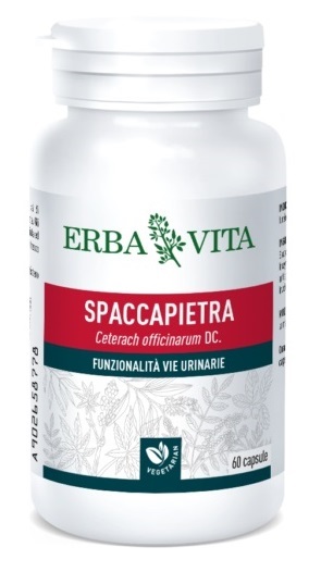 SPACCAPIETRA 60 CAPSULE - goldeneffe.it
