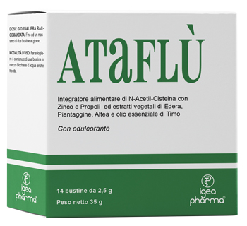 ATAFLU' 14 BUSTINE - goldeneffe.it