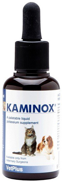 KAMINOX SCIROPPO 60 ML - goldeneffe.it