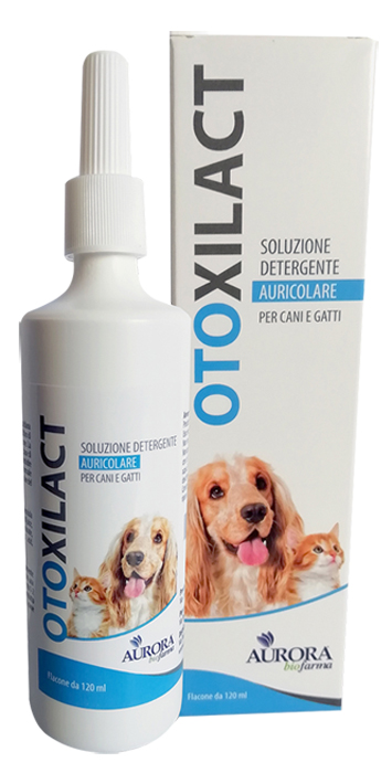 OTOXILACT DETERGENTE AURICOLARE - goldeneffe.it