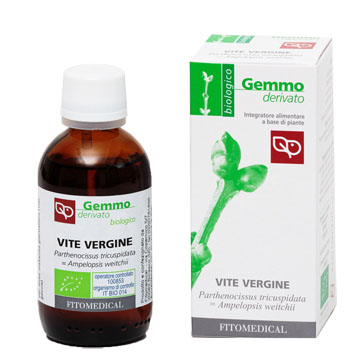 VITE VERGINE MACERATO GLICERICO 50 ML BIO - goldeneffe.it