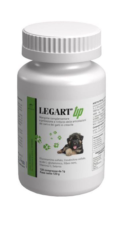 LEGART UP 120 COMPRESSE - goldeneffe.it