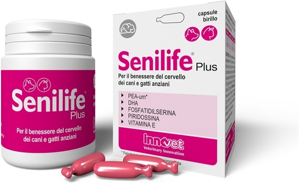 SENILIFE PLUS 60 CAPSULE - goldeneffe.it