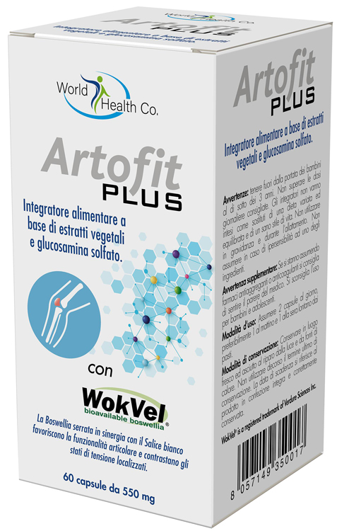 ARTOFIT PLUS 60 CAPSULE - goldeneffe.it