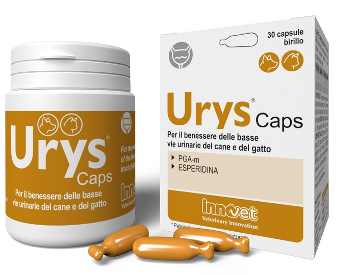 URYS CAPS 30 CAPSULE - goldeneffe.it