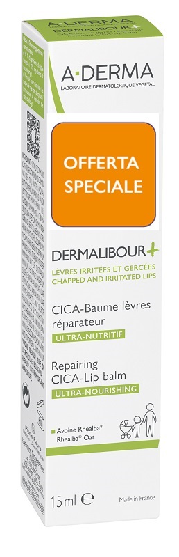 DERMALIBOUR + CICA BALSAMO LABBRA 15 ML - goldeneffe.it